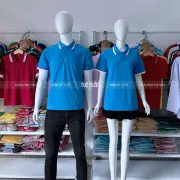 Polo phối bo 2 sọc